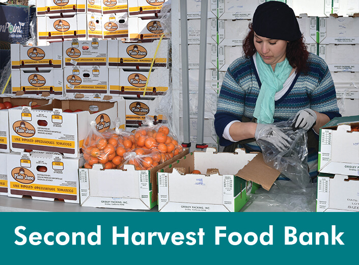 A woman in a light blue scarf and black hair is distributing oranges. "Second Harvest Food Bank" is writen in white text across a teal strip of color on the bottom of the image.