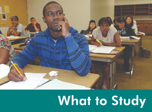 African-American student (male) is seated in a classroom with a pencil in his hand. The graphic reads "What to Study" in a strip of teal on the bottom of the square image.