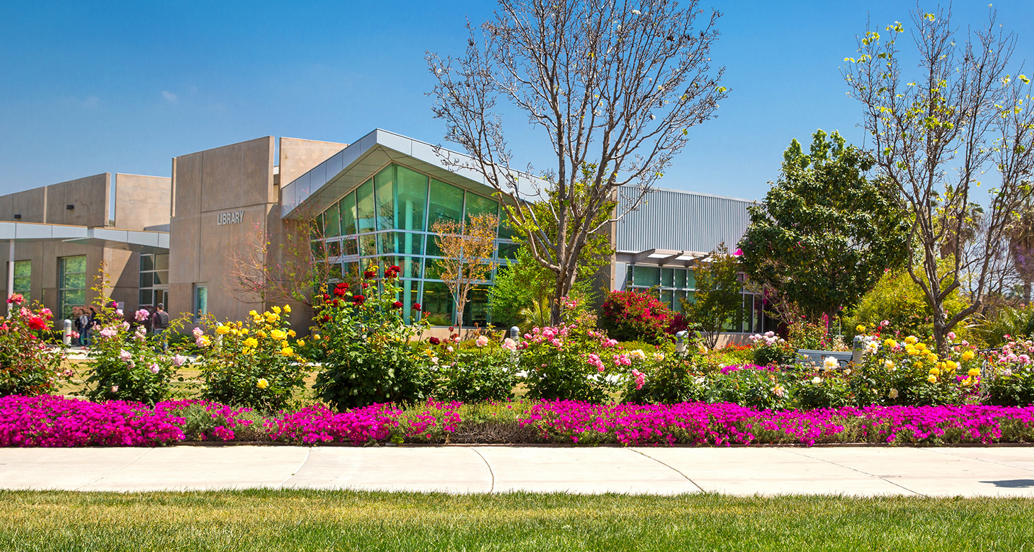 campus with blossoms