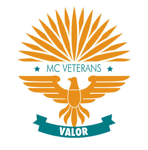 VALOR veterans logo